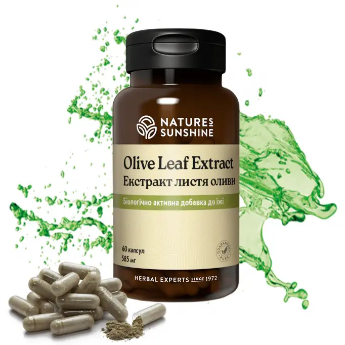 Листя Оливи (Olive Leaf Extract) 60 капс. Nature's Sunshine